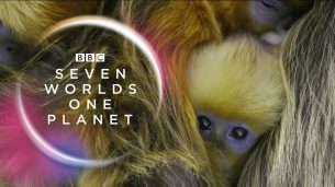 Seven Worlds, One Planet (2019)