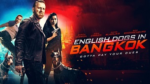 English Dogs in Bangkok (2020)