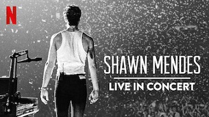 Shawn Mendes: Live in Concert (2020)