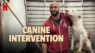 Canine Intervention (2021)