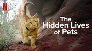 The Hidden Lives of Pets (2022)