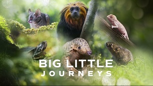 Big Little Journeys (2023)